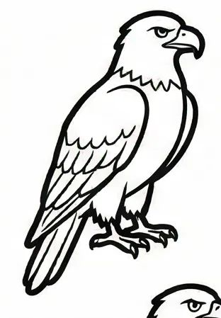 how to draw a bird 1.webp